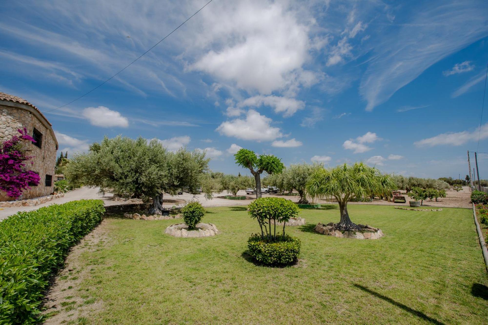 Rural Avril Villa Camarles